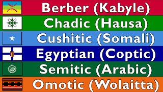 AFROASIATIC LANGUAGES