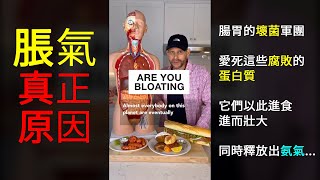 脹氣的真正原因 Are you bloating?