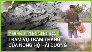 Chiến lược nuôi cá trăm vụ trăm thắng của nông hộ Hải Dương | VTC16