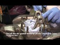 DIY Cylinder and piston installation Triumph Bonneville T140V