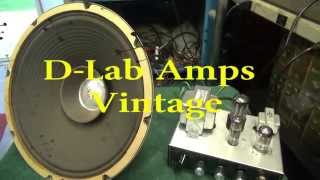 D-lab Vintage Electro Voice EV Classic Woofer Guitar amp Speaker demo