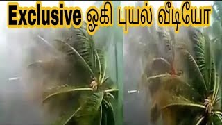 Exclusive கன்னியாகுமரியில் ஓகி புயல் வேகம்