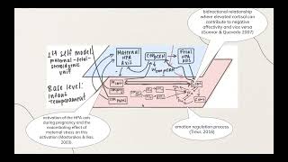 Adaptive Network Modeling of Epigenetic Mechanisms in Infant Temperament Shaped by Maternal Stress