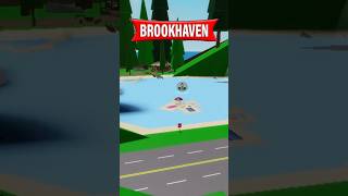 5 SECRET ITEMS IN ROBLOX BROOKHAVEN #roblox #brookhavenrp #fyp #danplayzrb