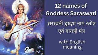 सरस्वती द्वादश नाम स्तोत्र | 12 Names of Saraswati for wisdom and virtue #shubhta #saraswati