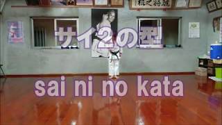 【沖縄空手/Okinawa karate】 釵/サイ/sai --- サイ2の型 琉球古武道