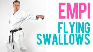 Enpi/Empi - Flying Swallow - Shotokan Kata by Sensei Soon Pretorius (Former JKA World Champion)