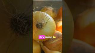 Czy wiesz, że cebula ... ❓️ #onions #short #video