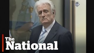 Radovan Karadzic sentenced to 40 years in prison for Bosnian war crimes