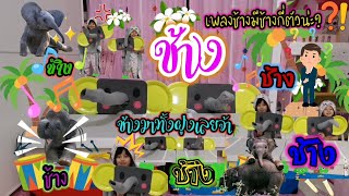 เพลงช้าง🐘เวอร์ชั่นลูกครึ่ง | EP.3 SaWasDee เลาะสวิสส์