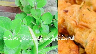 ದೊಡ್ಡ ಪಾತ್ರೆ ಎಲೆಯ ಆರೋಗ್ಯಕರ ಪಕೋಡಾ/Sunday vlog/ Let's meet with surekha/ Kannada vlogs