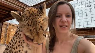 Gerda the cheetah talks to birds! It's Unique!