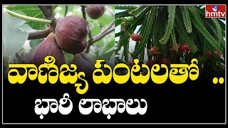 ప్రభుత్వాన్ని ఆకర్షిస్తున్న రామడుగు మండలం | Karimnagar | hmtv