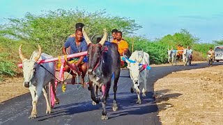 தேராங்குளம் பந்தயம்