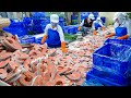 Asian Street Foods & Food Factory Processing 24/7 365 LIVE