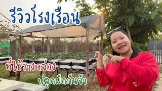 รีวิวโรงเรือนปลูกผัก #ผักไฮโดรโปนิกส์ #ปลูกผักสวนครัว #กล่องโฟม #โรงเรือน #โต๊ะปลูกผัก #คะน้า