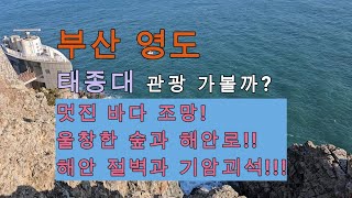 부산 영도 태종대 관광 갈까요? 울창한 숲과 푸른 바다, 수려한 해안 절경과 조망