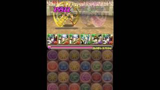 【パズドラ】第13回チャレンジダンジョンLV6 ヴェルダンディPT