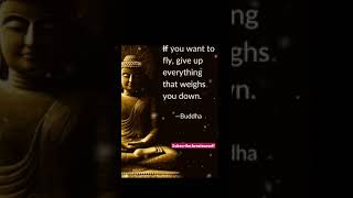 Buddha Inspiration |Morning Motivation | Life quotes #buddha #inspiration #shortsmotivation