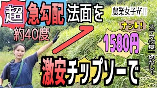 【草刈り必見】豪力耐久王で農業女子が急斜面草刈りレポート～コメリ最安チップソーの実力はいかに？！父と娘の田舎で農業【ステマ忖度一切ナシ！実証実験】