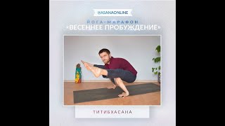 Как освоить Титибхасану. Поза Светлячка