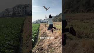 A wild duck that can understand human language, a girl in the village, rural life