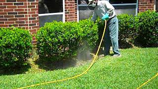 TruGreen Tree and Shrub Service