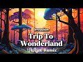 Invasion - Trip To Wonderland (UraNium Remix)