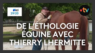 Des cours d'éthologie équine avec Thierry Lhermitte