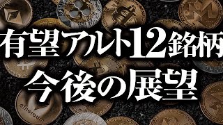 メジャーアルト12銘柄の今後の展望［2021/6/23］BNB,CAKE,MATIC,SOL,ICP,ATOM,ADA,DOT,XRP,ENJ,DOGE,MX【仮想通貨】