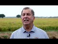 louisiana rice farmers nearly complete with harvesting their second crop rice