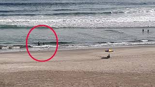 Veraneantes se bañan en la playa hoy sábado