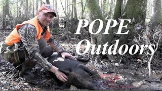 FLORIDA Public Land Swamp Hog | Less Than 1hr on a New W.M.A