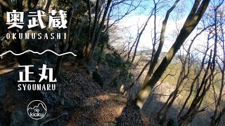 【登山】奥武蔵 正丸/正丸駅から芦ヶ久保まで山歩き/３個目のマイクテスト