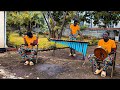 #365days of Marimba day 20 - Nyoka Musango Traditional