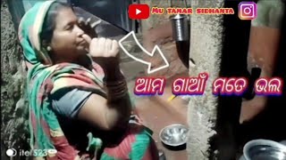 ଆମ ଗାଆଁ ମତେ ଭଲ // mu Tamar sidhanta