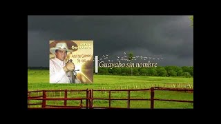 Jorge Guerrero - Guayabo sin nombre