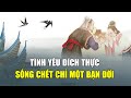 Sự trung trinh của chim nhạn: Tình yêu đích thực, sống chết chỉ một bạn đời | Tinh Hoa TV