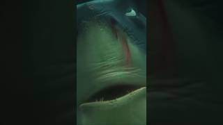 Bruce Attacks Shark Findingnemo Dory Sharkweek Bruce Disney