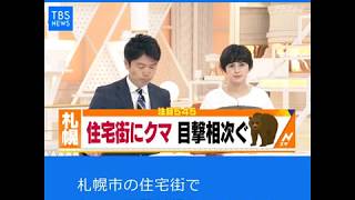 Ｎスタ５４５：札幌の住宅街にクマ出没