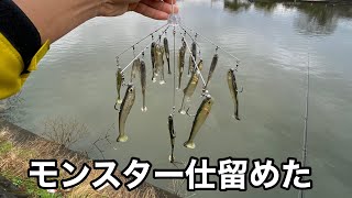 魚群リグでリベンジ果たしてきました