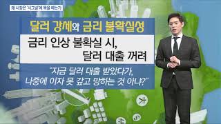 [시장을 읽는 남자] 왜 시장은 '시그널'에 목을 메는가