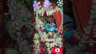 বিশাল জায়গায় কৃষ্ণকালী মায়ের নতুনমন্দির#maa #shortsfeed #love #vairal #vairalvideo @krishna