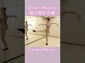 探戈融合風肚皮舞 tango dance dancer dancevideo 舞蹈 減肥 amore