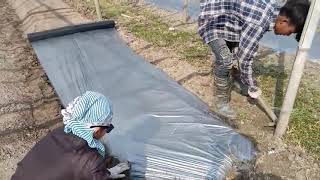 how to install Mulching Plastics: Step by step technique # Manna Ktm,  Nepal:: Part I