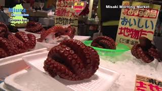 Misaki Morning Market（三崎朝市）【神奈川県三浦市観光PR】