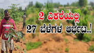 ಸಮಗ್ರ ಕೃಷಿ ಎರಡು ಎಕರೆಯಲ್ಲಿ 27 ಬೆಳೆ ಬೆಳೆದ ರೈತ..! 27 crops on two acres of intergrated farming