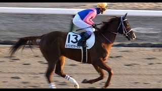 【武豊 返し馬】今日は本馬場入場でグズる馬が多かった中さすが名手武豊。終始スムーズに本馬場入場 メイショウオーギシで挑む最終Ｒ 中京12R 4歳以上1勝クラス ダート1400m 2022年1月16日