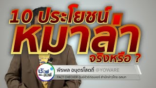 ชัวร์ก่อนแชร์ : 10 ประโยชน์ของ “พริกหมาล่า” ต่อสุขภาพ จริงหรือ ?