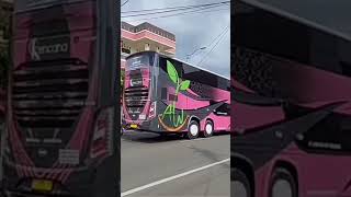 Melihat kekompakan Pramugari cantik Po Kencana sebelum berangkat#anakjalanan#shorts#busmania#bus